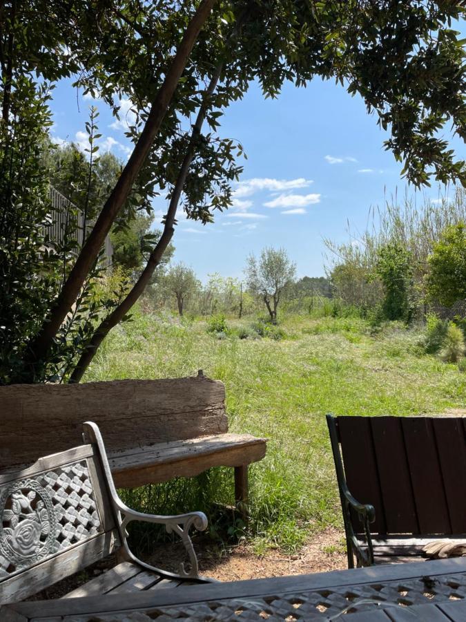Casa Rural Con Jardin,A 8Km Playa Y En La Naturaleza Taronja&Canyella Ardenya Exteriör bild