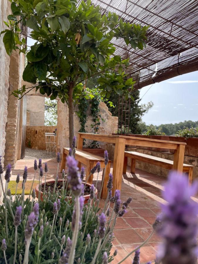 Casa Rural Con Jardin,A 8Km Playa Y En La Naturaleza Taronja&Canyella Ardenya Exteriör bild