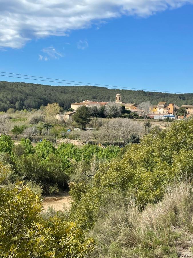 Casa Rural Con Jardin,A 8Km Playa Y En La Naturaleza Taronja&Canyella Ardenya Exteriör bild