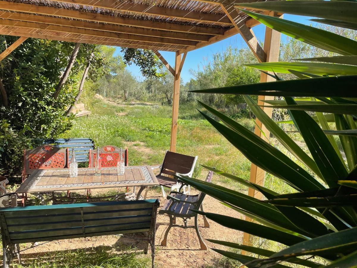 Casa Rural Con Jardin,A 8Km Playa Y En La Naturaleza Taronja&Canyella Ardenya Exteriör bild