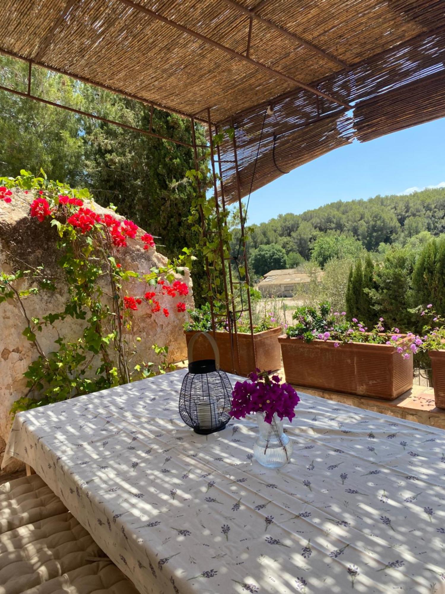Casa Rural Con Jardin,A 8Km Playa Y En La Naturaleza Taronja&Canyella Ardenya Exteriör bild