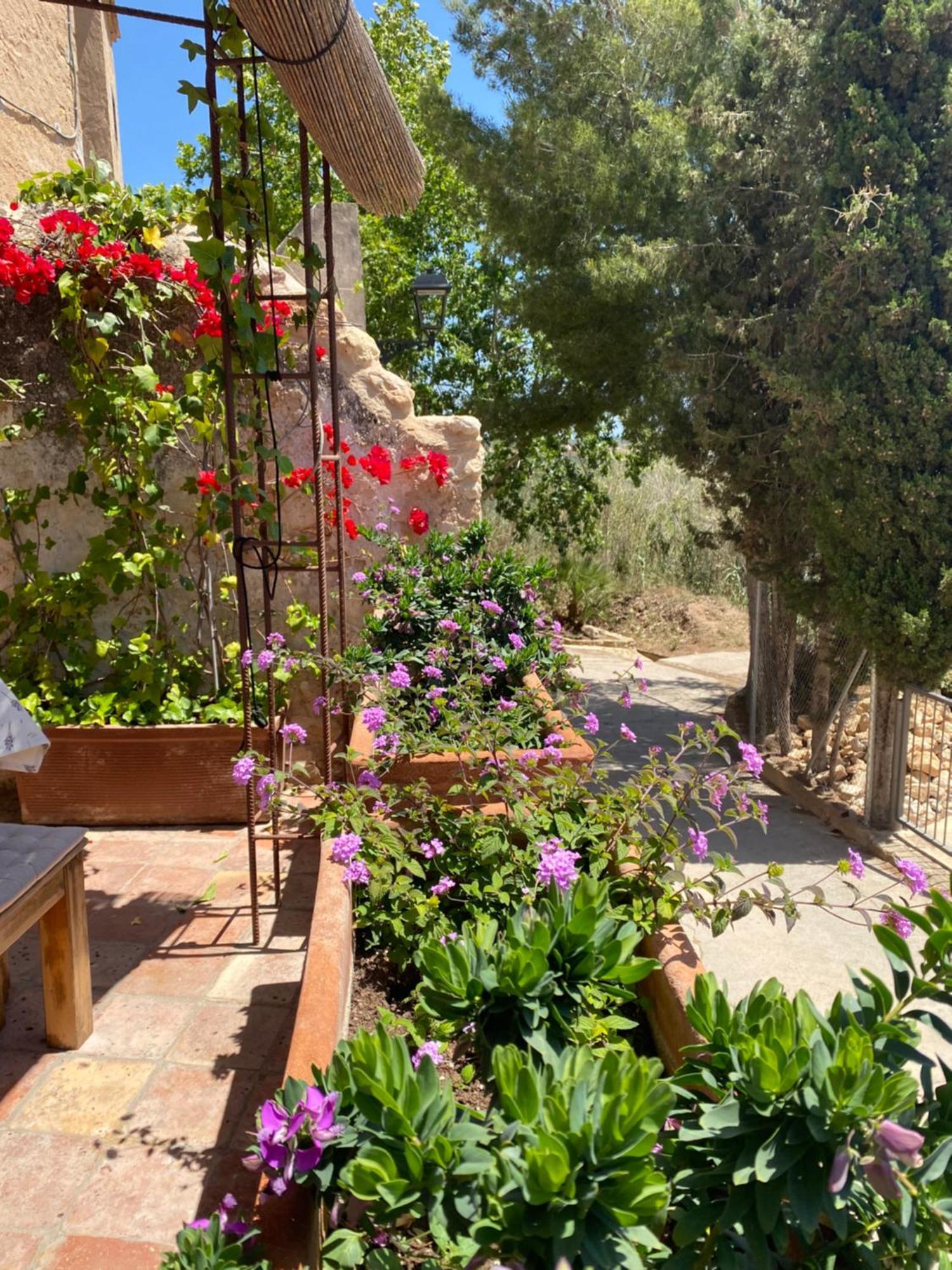 Casa Rural Con Jardin,A 8Km Playa Y En La Naturaleza Taronja&Canyella Ardenya Exteriör bild